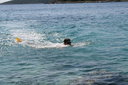 gal/cro 08/_thb_small-IMG_4950.JPG